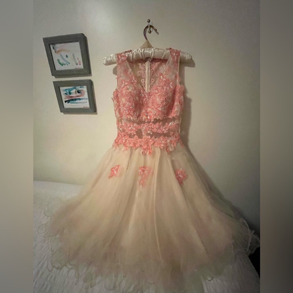 Chic Floral Lace Formal Dress in Pink and Cream